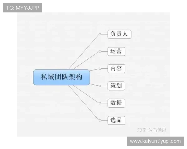 开云旗下品牌在全球市场的扩展策略与本地化运营经验分享